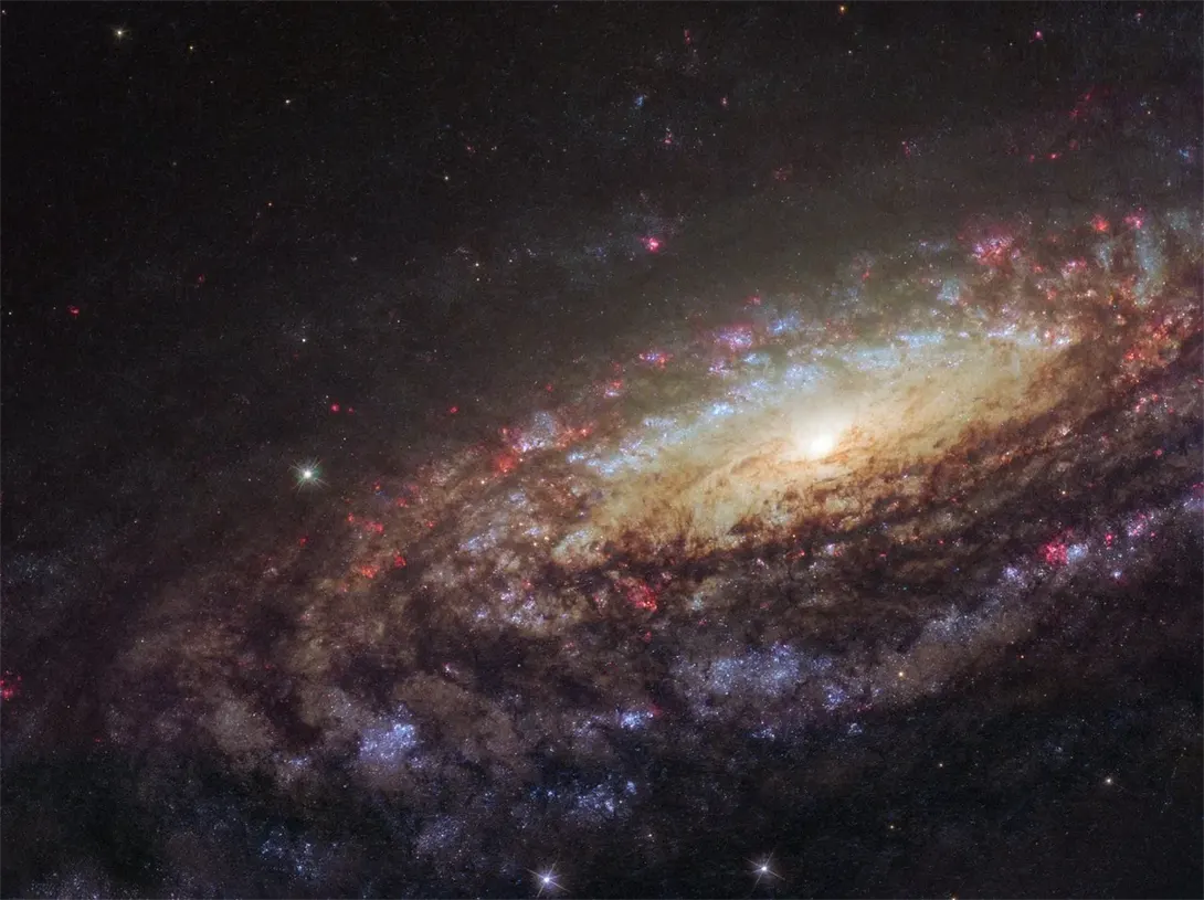 La espectacular galaxia espiral NGC 7331