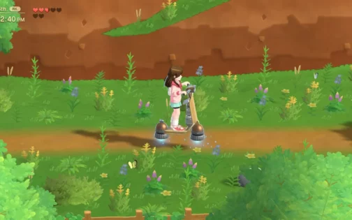Harvest Moon: Home Sweet Home Special Edition (2)