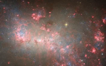 La galaxia irregular NGC 4449 vista por el telescopio espacial Hubble