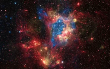 La nebulosa de emisión y superburbuja N44